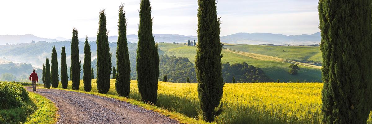 Circuits culinaires actifs de Backroads